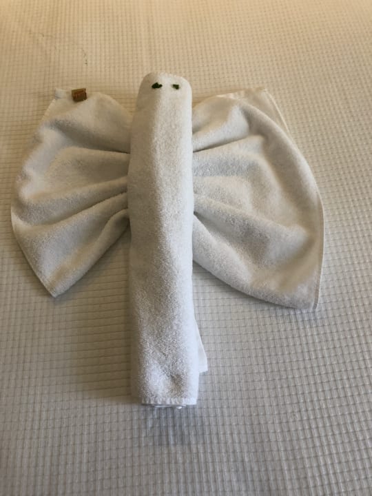 Zimmer TUI BLUE Oceanis Beach and Spa Resort