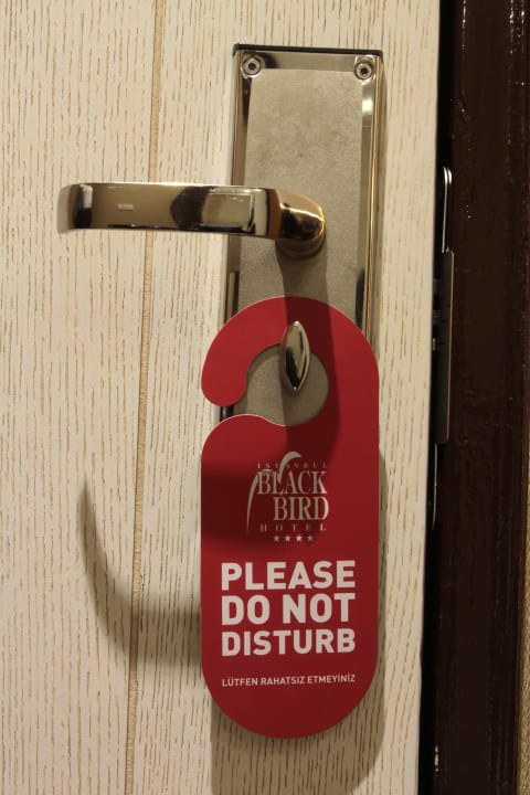 Room Hotel Black Bird