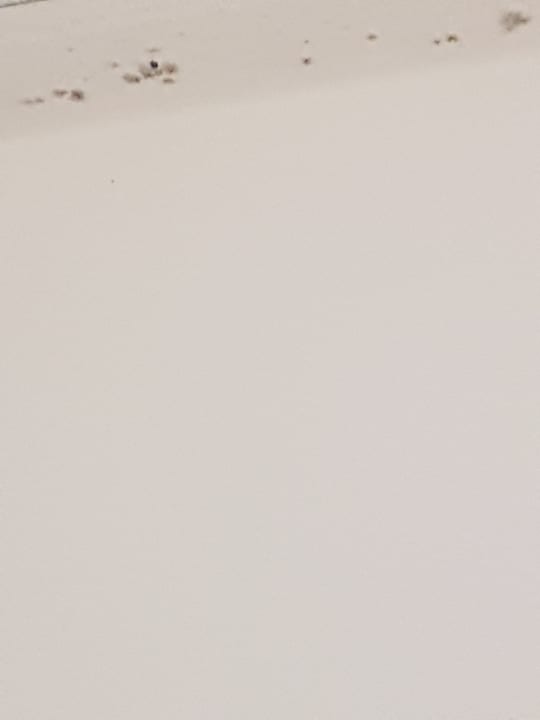 Zimmer Oostappen Vakantiepark Marina Beach