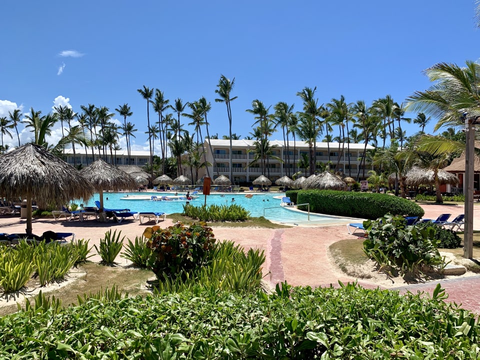 Pool Vik Hotel Arena Blanca Bavaro • Holidaycheck Dominikanische Republik Ostküste 8960