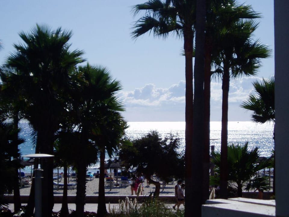 Blick aufs Meer Hipotels Mediterraneo Club