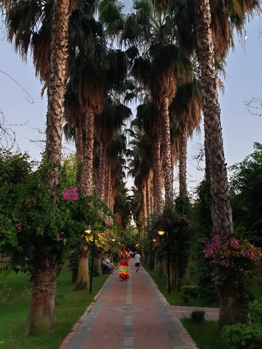 Gartenanlage Hotel Gardenia Beach