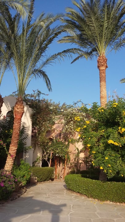 Palmen...Blumen etc Sultan Bey Hotel, El Gouna