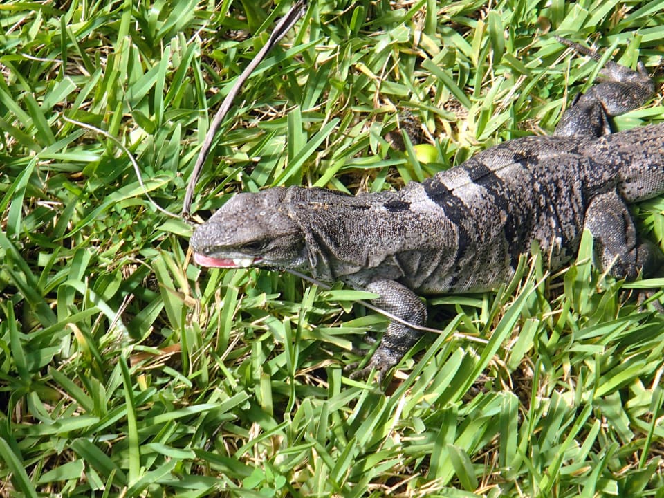 Sonstiges Akumal Bay Beach & Wellness Resort