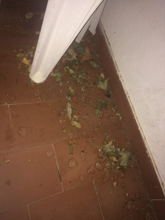 Gartenanlage Golden Club Cabanas