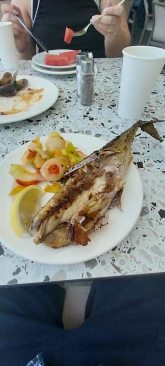 Gastro Hotel Borjana