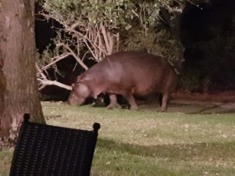 Sonstiges Hotel Ilala Lodge