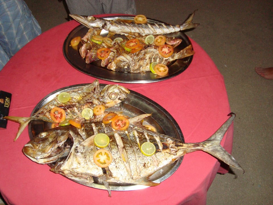 Angelausflug Ausbeute Summer Island Maldives