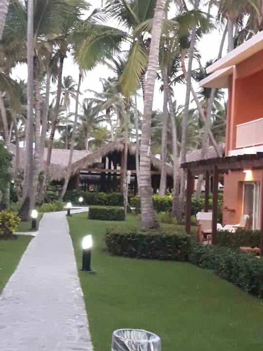 Gartenanlage Hotel Grand Palladium Palace Resort, Spa & Casino