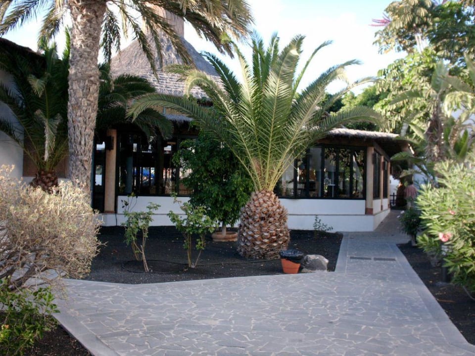 Bar allsun App.-Hotel Albatros