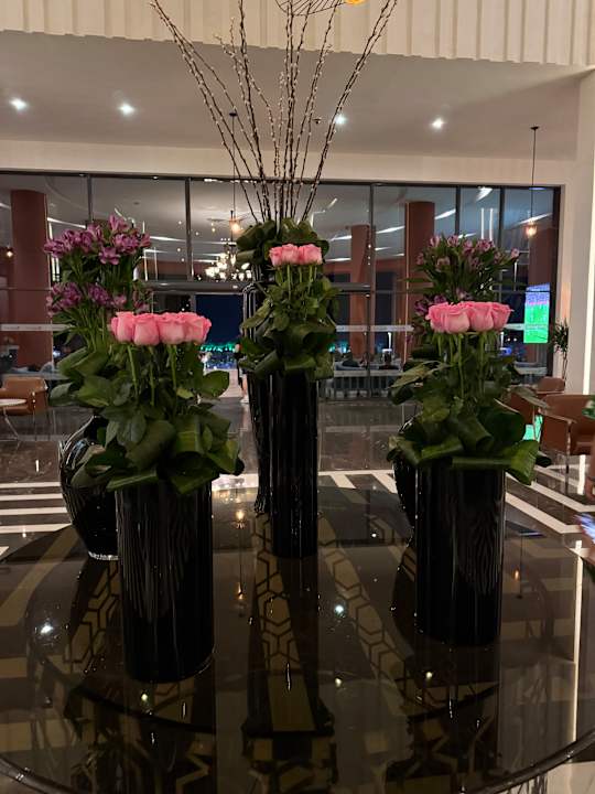 Lobby Pickalbatros Laguna Vista Hotel