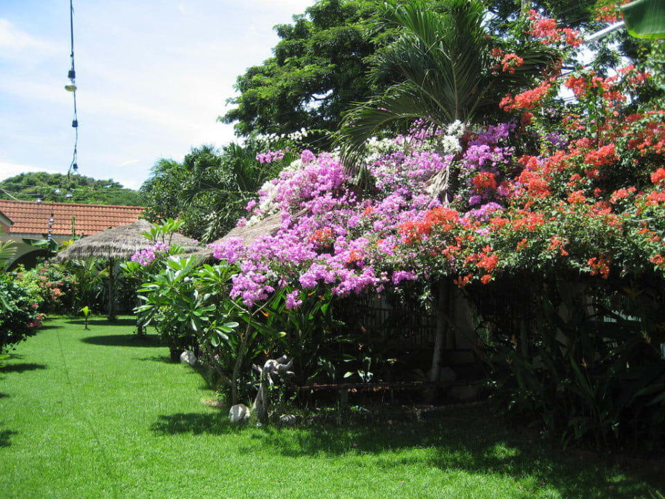 Es blüht Hotel Swiss Paradise Resort