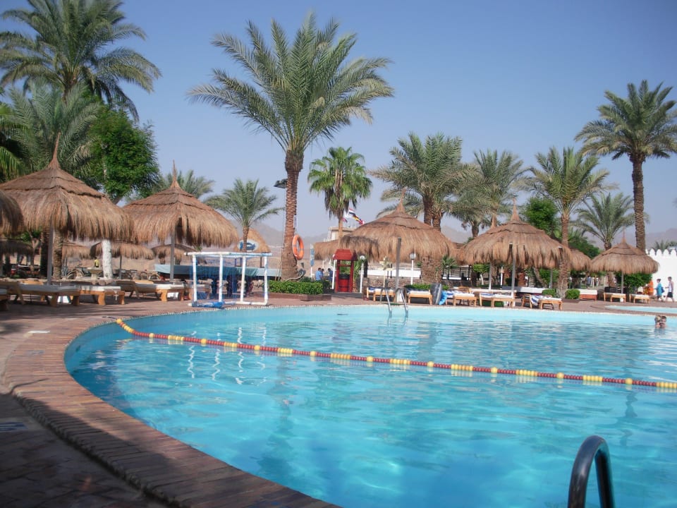 Pool Albatros Sharm Resort