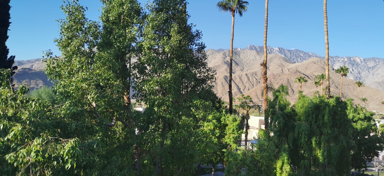 Ausblick Hotel Days Inn Palm Springs