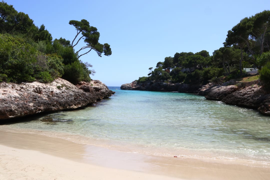 Strand Calimera Fido Gardens