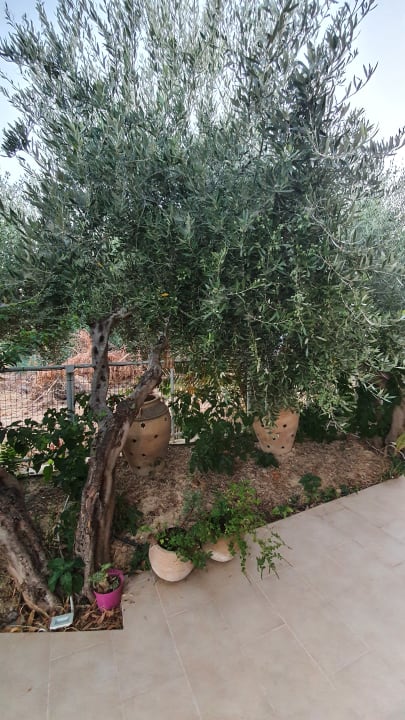 Gartenanlage Lili Hotel