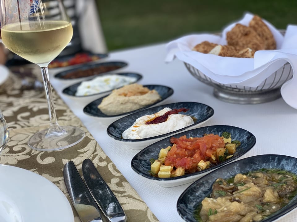 Gastro TUI MAGIC LIFE Beldibi +16