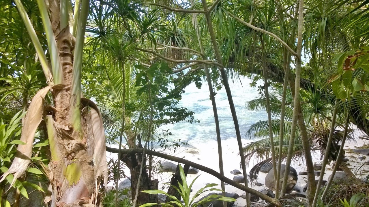 Gartenanlage Constance Ephelia