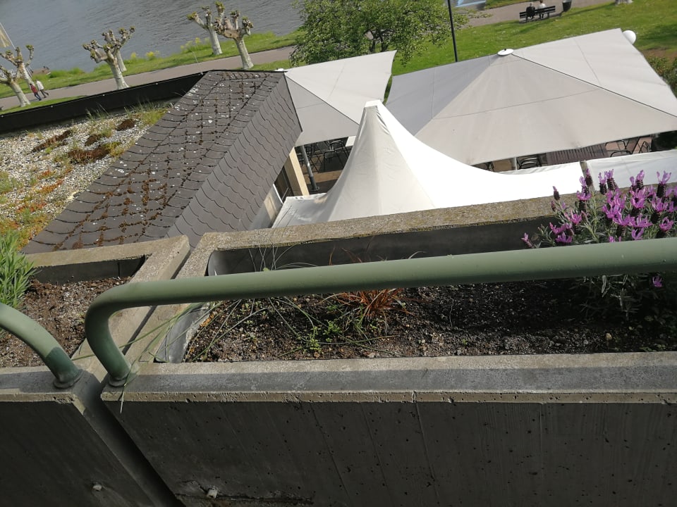 Zimmer Parkhotel am Schänzchen