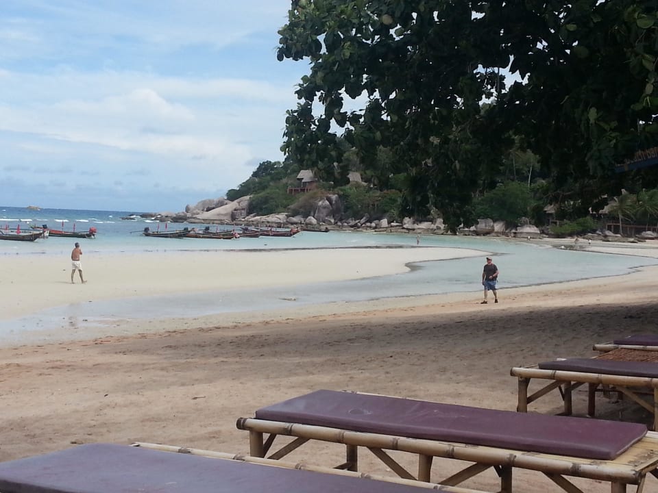 Liegen mit Auflagen und Sonnenschirme Palm Leaf Resort Koh Tao