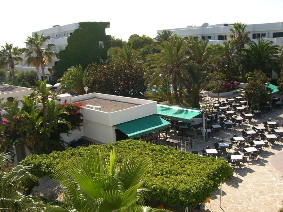 Bar / Abendanimation Blue Sea Club Martha’s Resort