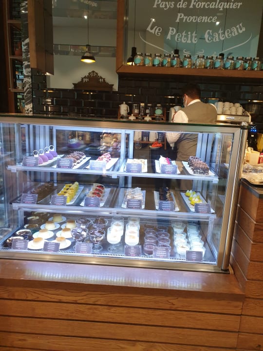 Gastro Acanthus Cennet Barut Collection