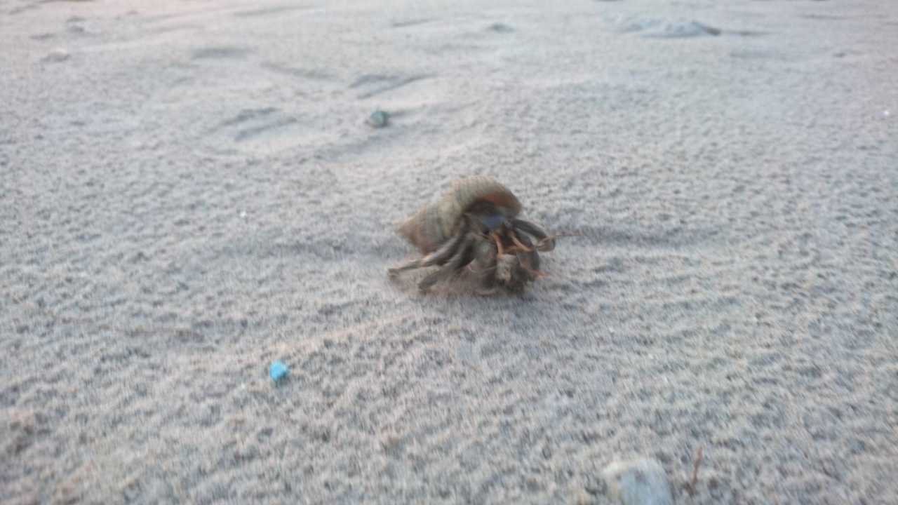 Strand The Grand Southsea Khaolak Beach Resort