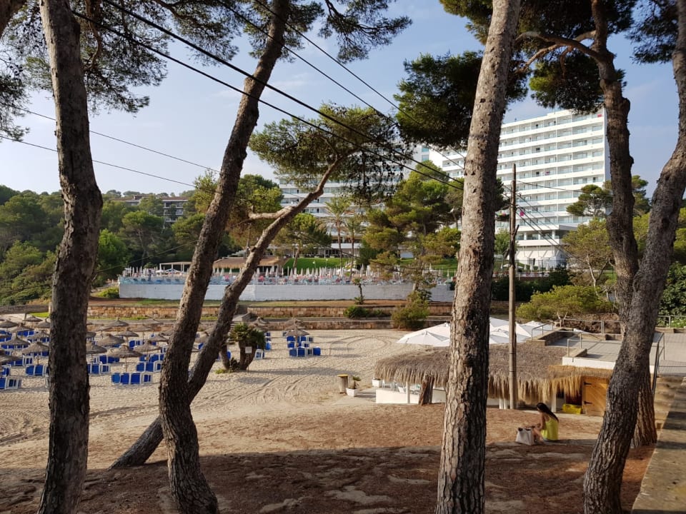 Strand Iberostar Waves Pinos Park