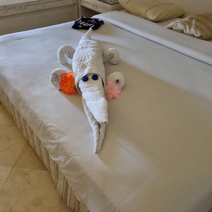 Zimmer Makadi Spa - Adults only