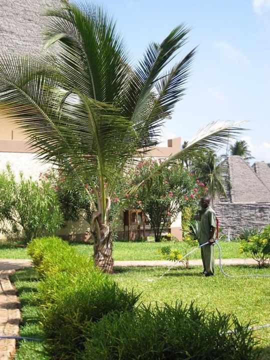 Hotelanlage Neptune Pwani Beach Resort & Spa