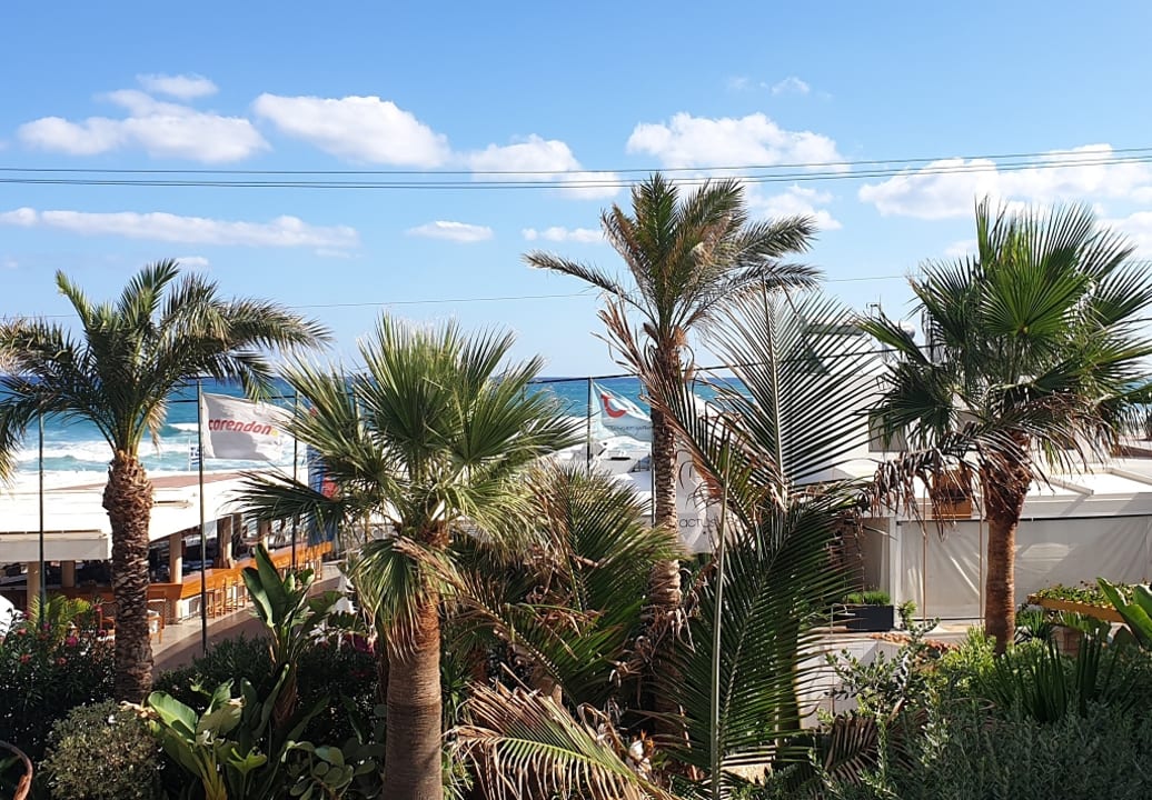 Ausblick Cactus Beach