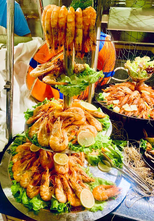 Gastro Delphin BE Grand