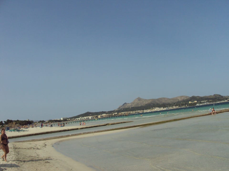 4 JS Hotel Sol de Alcudia