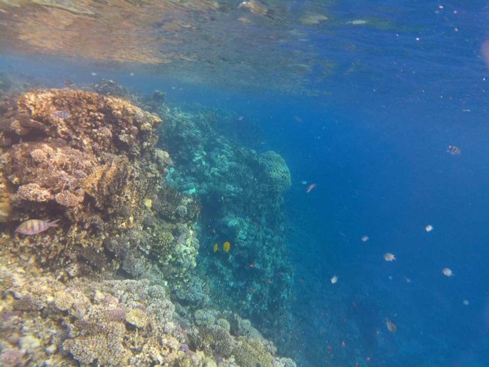 Strand Casa Mare Resort