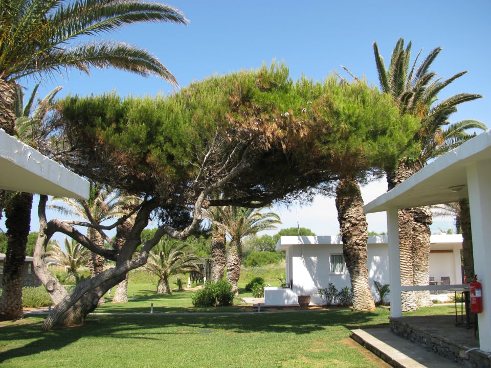 Gartenanlage Civitel Creta Beach