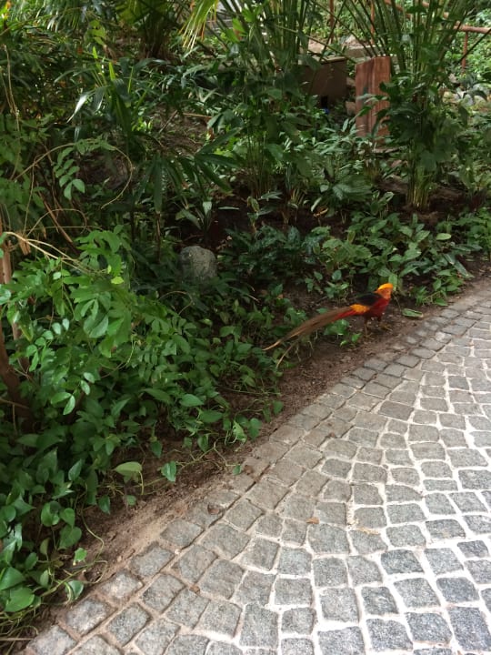 Gartenanlage Tropical Islands Resort