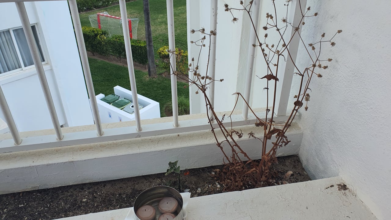 Ausblick Alcudia Garden Aparthotel