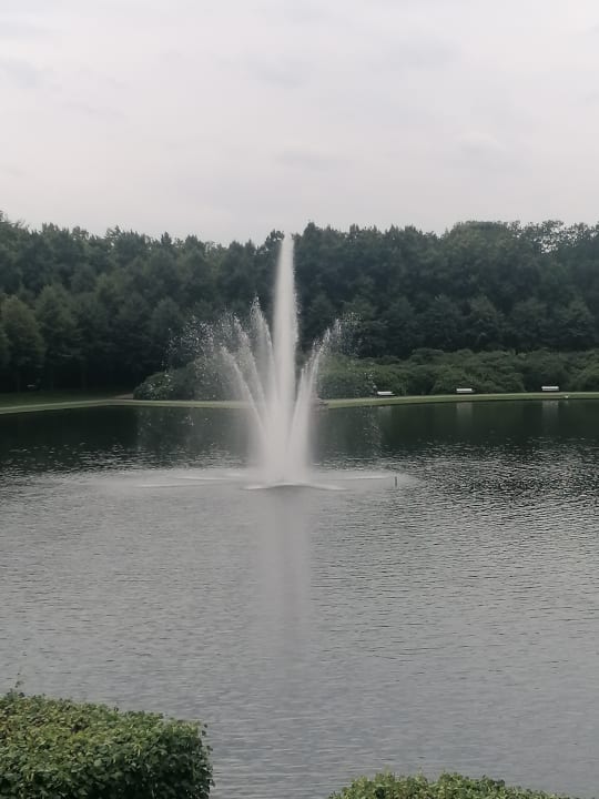 Gartenanlage Parkhotel Bremen – ein Mitglied der Hommage Luxury Hotels Collection