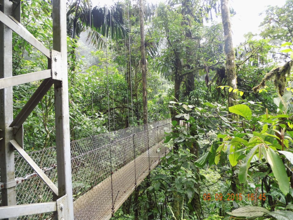 Die Hängebrücken Arenal Paraiso Resort Spa & Thermo Mineral Hot Springs