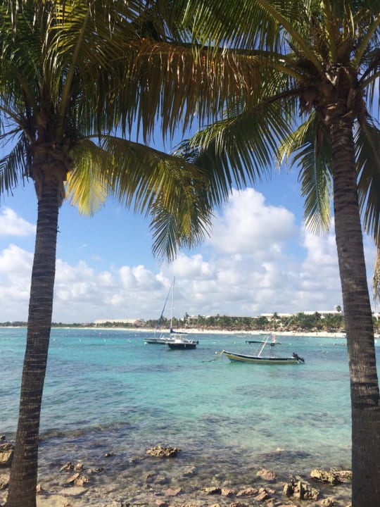 Toller Ausblick Akumal Bay Beach & Wellness Resort