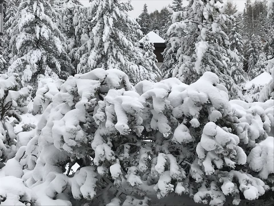 Ausblick Hotel Hochschober