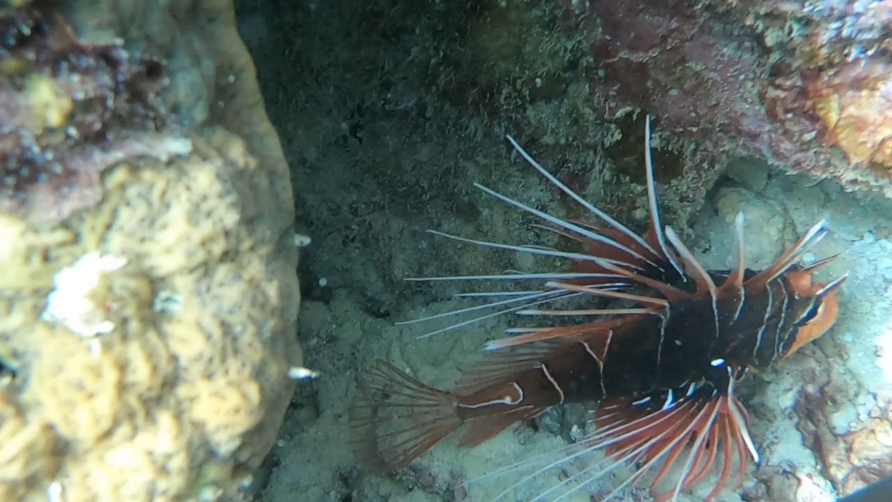 Sport & Freizeit NH Collection Maldives Reethi Resort