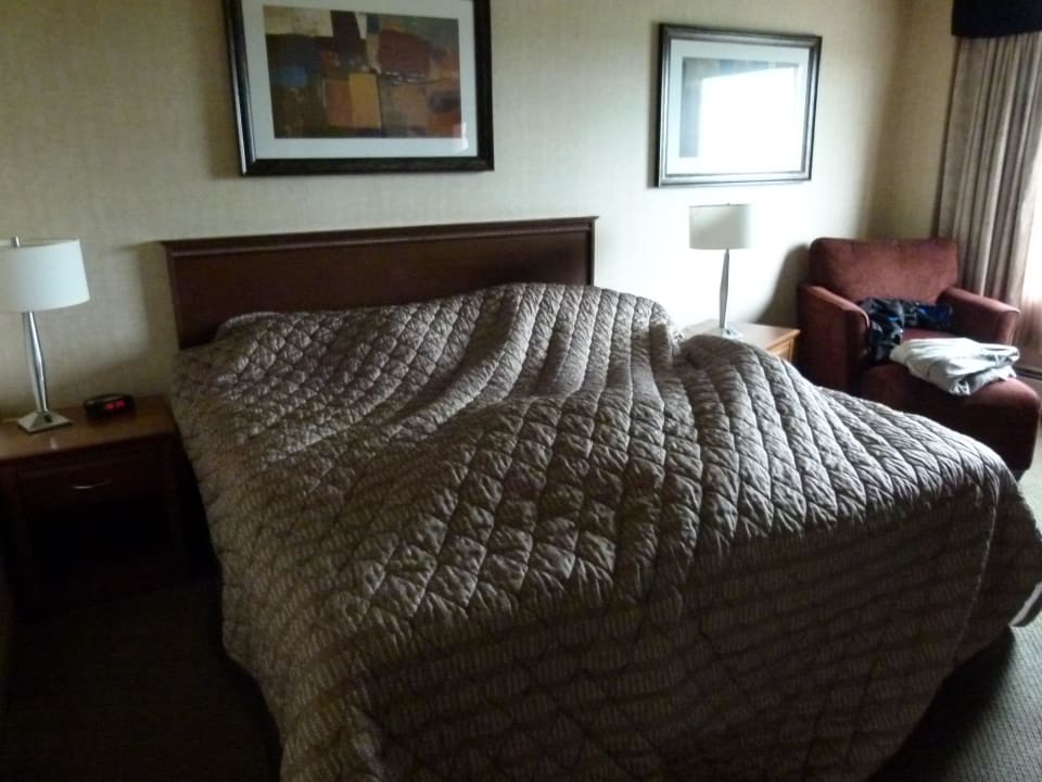 Zimmer Sandman Hotel Calgary Airport