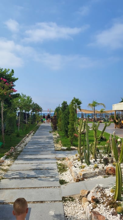 Strand Dream Water World