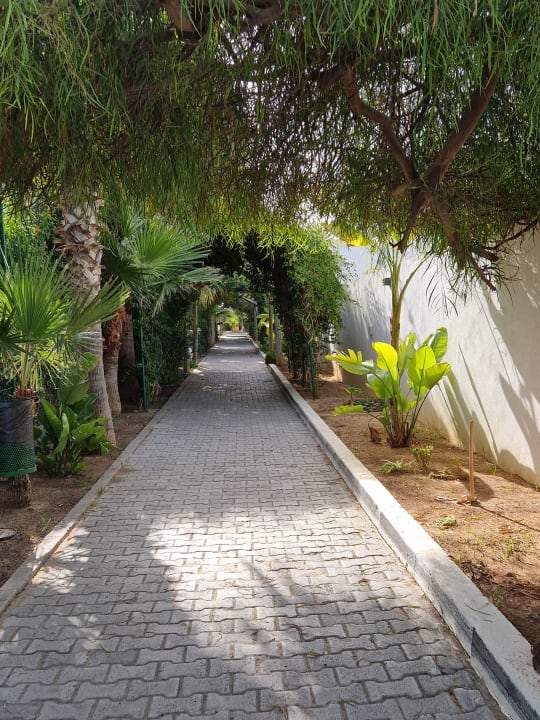 Gartenanlage Hotel Royal Nozha