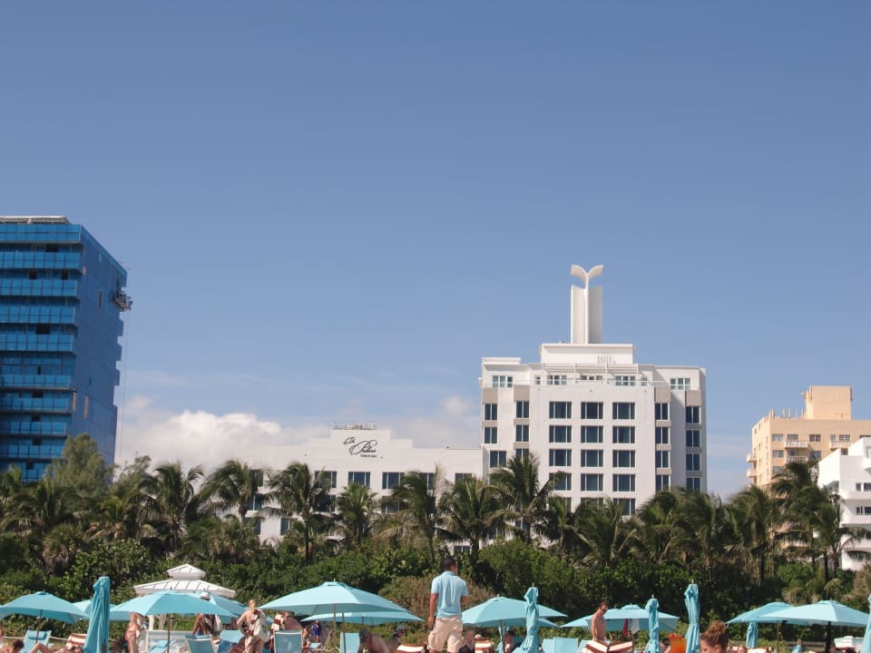 Hotel Strandsicht The Palms Hotel & Spa