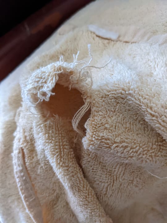 Zimmer Malikia Resort Abu Dabbab