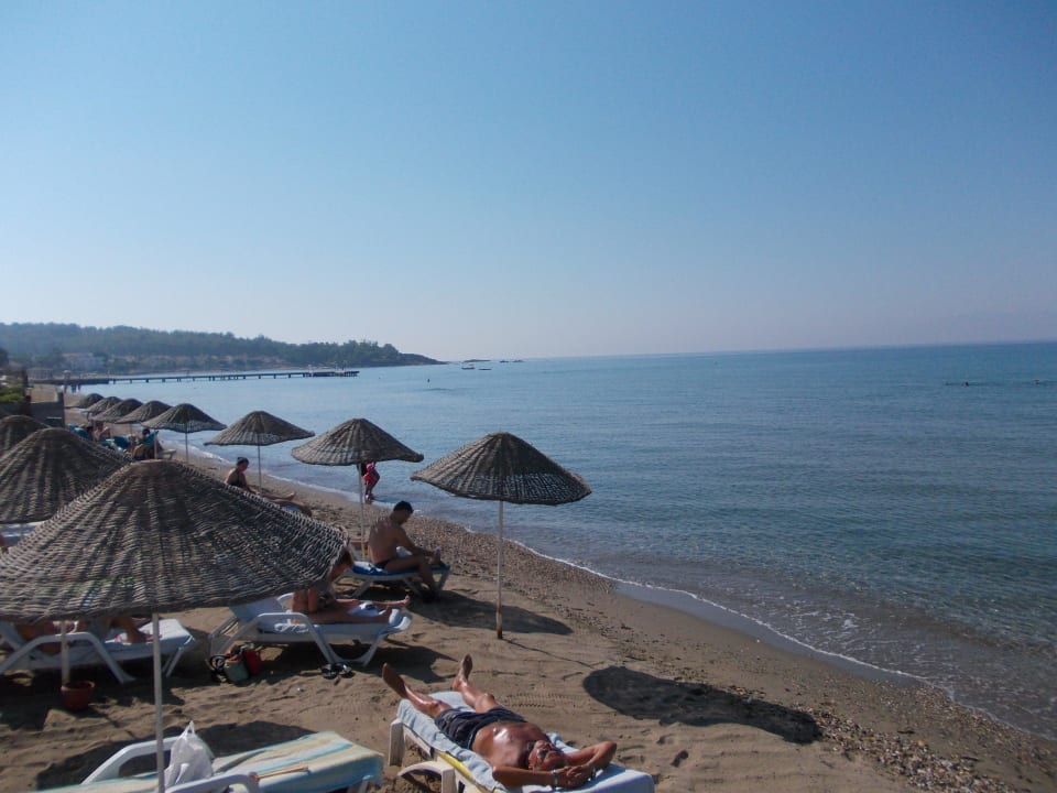 Strand vom Dogan Paradise Hotel Dogan Paradise Beach