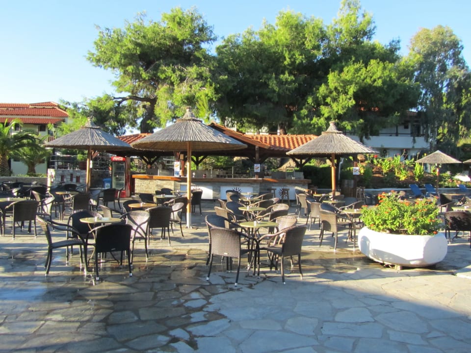 Sitzmöglichkeit Bar und Pool  Blue Dolphin Resort Hotel