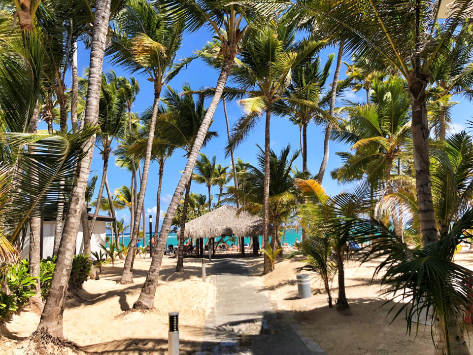 Strand Hotel Riu Bambu